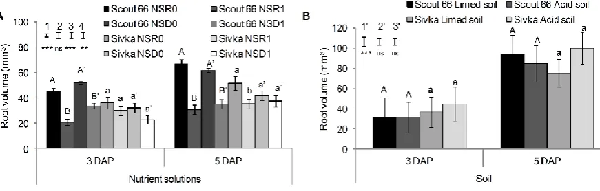 Figure 5. Comparison of root volume of wheat cultivars Scout 66 and Sivka grown in Al treatment solutions (NSR1 and NSD1) and control nutrient solutions (NSR0 and NSD0) (A) and in acid and limed soil (B)