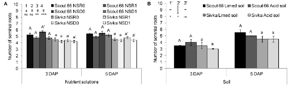 Figure 1. Comparison of the number of seminal roots of wheat cultivars Scout 66 and Sivka grown in Al treatment solutions (NSR1 and NSD1) and control nutrient solutions (NSR0 and NSD0) (A) and in acid and limed soil (B)