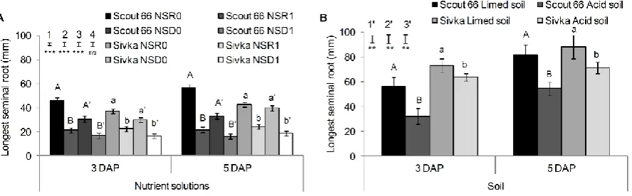 Figure 2. Comparison of mean root length of wheat cultivars Scout 66 and Sivka grown in Al treatment solutions (NSR1 and NSD1) and control nutrient solutions (NSR0 and NSD0) (A) and in acid and limed soil (B)