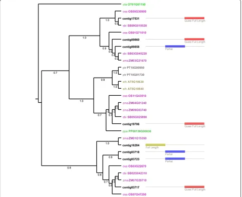 Figure 2 Visualization of a phylogenetic tree with associated meta-annotation labels per transcript