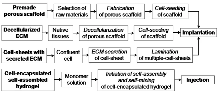 Figure 2. Different TE regeneration techniques.