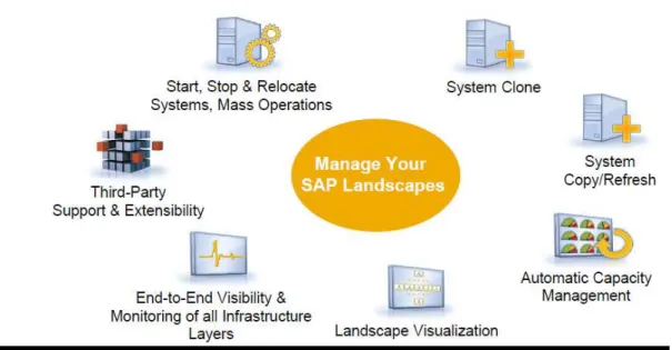 Figure 1 provides a high level view of the features provided by SAP NetWeaver LVM. 