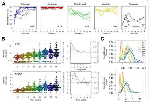 Figure 3 Cell detection and expression dynamics throughout the time series. (A) A systematic quantification of cells detected abovethreshold (relative expression >0.5) reveals five distinct clusters of cellular dynamics based on k-means clustering analysis