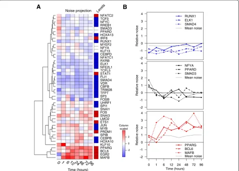 Figure 4 Propagation of noise strength in respect to the THP-1 network. (A) A heat map cluster representing scaled noise-strength for eachTF across the time course (scaled z-score: red = noisy, blue = less noisy)