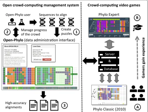 Figure 1 Open-Phylo crowd-computing system. (1)improving their alignments, close puzzles, open new puzzles and finally(a) Scientists upload their sequences to the database, validate the alignment puzzles built bythe system (See green box in the data admini