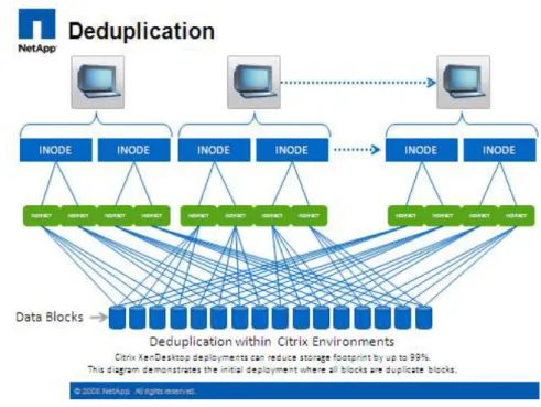 Figure 26.   NetApp Deduplication and Flexcone 