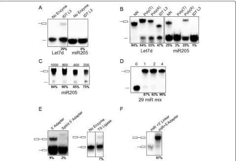 Figure 3 Optimized RNA ligation conditions achieve high efficiency for both 30.5were assessed using gel-purified, radiolabeled, 3or with thermostable (TS) RNA ligase at 60°C (right panel) for 2 hours