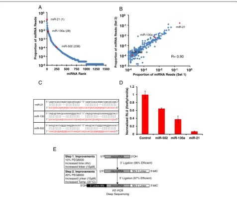 Figure 7 The potency of miRNA-mediated repression correlates with expression levels. (A) miRNA-Seq results from 1 μg of HeLa totalRNA