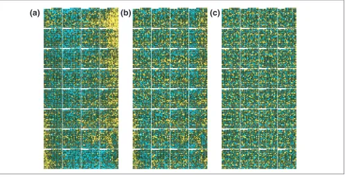 Figure 9Spatial effects of normalization on R/G ratios. One of the two cDNA arrays from the dye-swap study showing Cy5/Cy3 log-ratios with a yellow-cyan