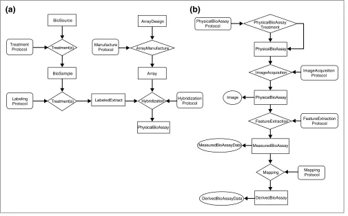 Figure 1A workflow diagram showing the various steps of microarray analysis. Rectangles represent physical things, diamonds represent events, ovals represent