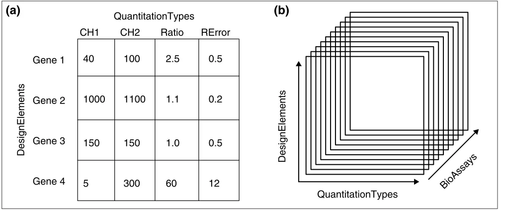 Figure 2The BioDataCube. BioDataCubes are composed of a matrix of values.combination of DesignElements and QuantitationTypes is allowed a value