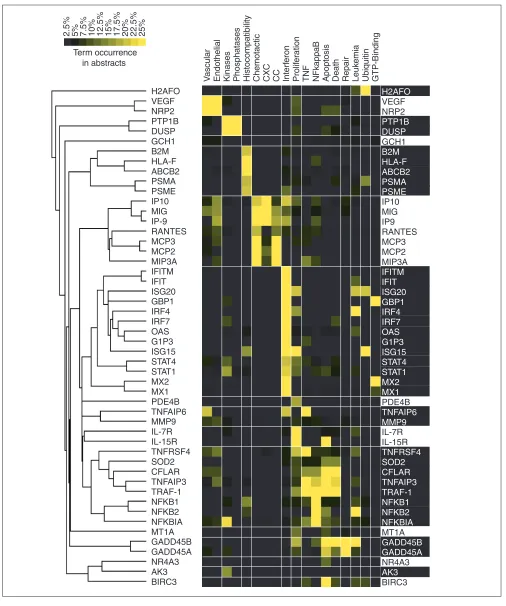Figure 3Annotated dendrogram obtained by clustering term-occurrence values relative to each gene