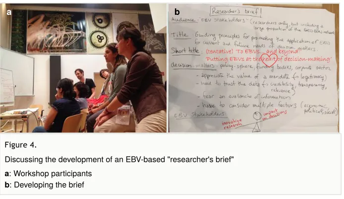 Figure 4. Discussing the development of an EBV-based "researcher's brief"