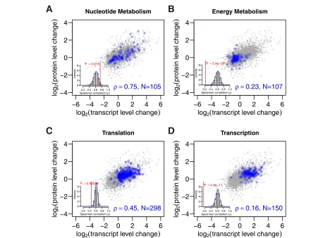 Figure 5 Post-transcriptional regulation changes for distinct functional pathways.correlations for distinct gene functions