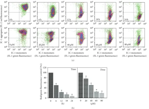 Figure 5: Ediﬀect of MAA on mitochondrial membrane potential (Δψm) in Ca Ski cells. Cells were treated with 60 μM of MAA for diﬀerenttime points