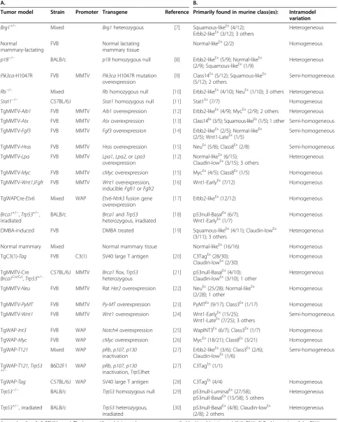 Table 1 Summary of murine models studied