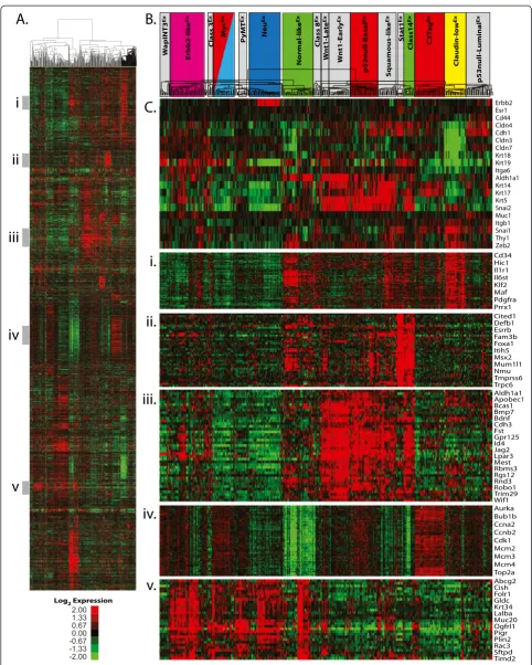 Figure 2 (See legend on next page.)