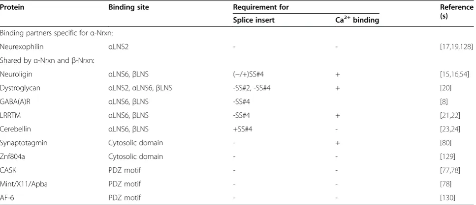 Figure 4 LNS domains as a versatile toolbox for protein-protein interactions. The diagram shows a ribbon structure of αLNS6 (PDB ID:2R1D) representing the lowest common denominator of the six neurexin LNS folds; it is used here to highlight specific featur