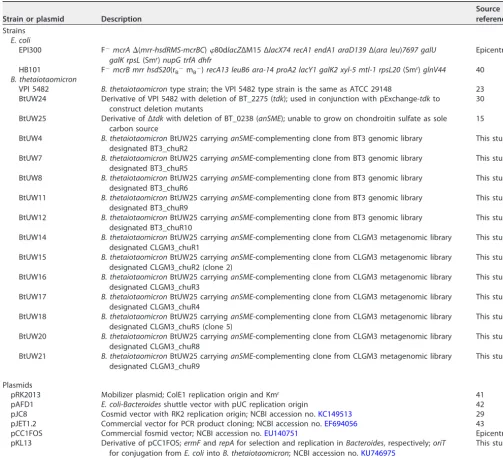 TABLE 1 Bacterial strains and plasmids used in this study