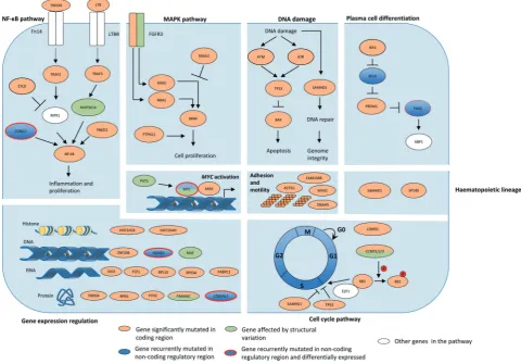 Fig. 4 Several key pathways in multiple myeloma are disrupted by a range of mechanisms