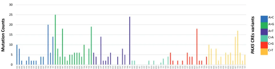 Fig. 5 Mutational signatures in multiple myeloma. Mutational patternsof somatic mutations in CREs interacting with PAX5 promoters dis-play both canonical (C > T/G in WRCY motifs with R = purine, Y =
