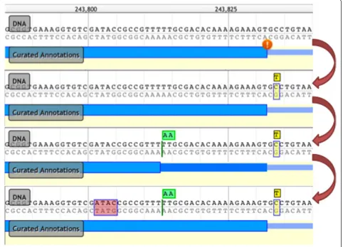 Figure 3 Example of sequence alteration editing operations. The top panel shows a transcript annotation (in blue) flagged with an orangeexclamation icon indicating that the curated intron-exon junction does not follow a canonical splice site pattern, that 