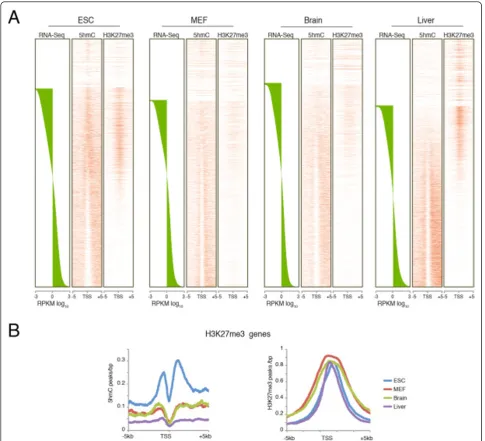 Figure 3 5hmC was enriched at H3K27me3 loci in embryonic stem cells (ESCs) but not in differentiated cellsand H3K27me3 of genomic regions around the TSS (± 5 kb) in ESCs, mouse embryonic fibroblasts (MEFs), brain, and liver, rank-ordered bymRNA expression 