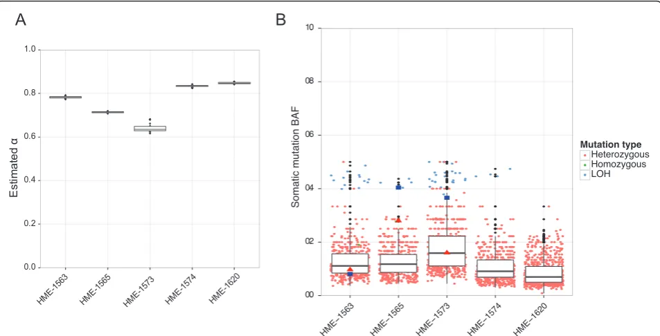 Table 3 Newly predicted somatic mutations in hemimegalencephaly data.