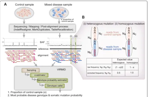 Figure 1 Overall Virmid workflow. (a) Disease/control paired data are used (top) to generate an alignment (BAM) file