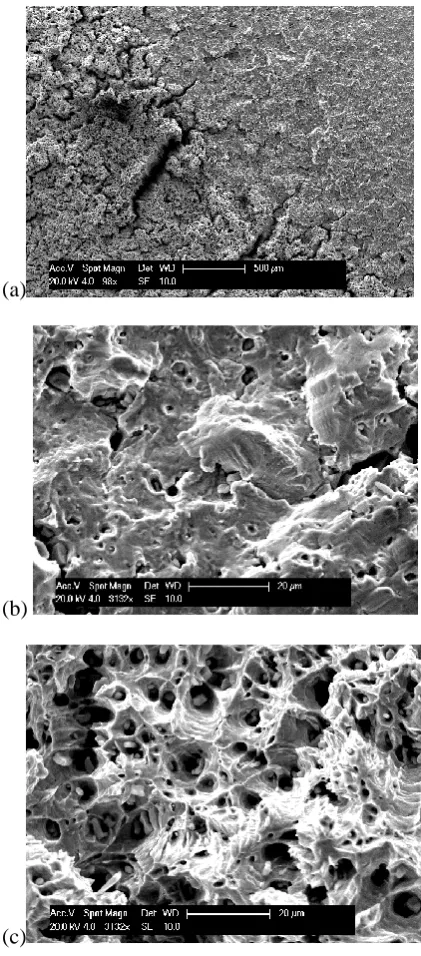 Fig. 10 (a) SEM image of the fractured surface showing the two different types of fracture occurred in fatigue test for 0.5%; (b) Upper right part bright and smooth, fatigue striations, evident inclusion and holes; (c) lower left part dark, dimpled surface