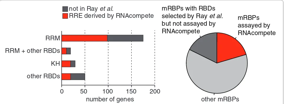 Figure 2. Summary of human mRBPs characterized by RNAcompete. The left panel shows, categorized by selected domain types, the number of RBPs for which RREs were characterized by RNAcompete (red) or remain to be studied (dark gray)