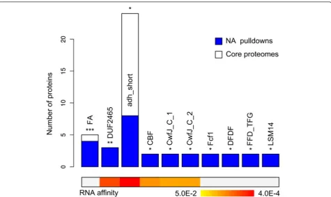 Figure 6 Domains enriched among the nucleic acid high confidence direct binders (HCDBs) lacking known nucleic acid domains(***P < 0.005, **P < 0.01, *P < 0.05; binomial test with Benjamini-Hochberg correction)