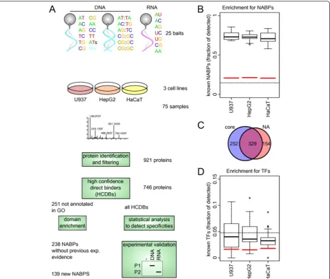 Figure 1 Identification of nucleic acid binding proteins (NABPs) in human cell lines. (a) Outline of the experiments and analysesperformed