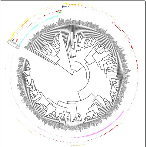 Figure 5 The 219 proteins that were assigned a binding preference for at least one nucleic acid subtype have been clustered toreflect similarities in preferences (affinity fingerprint)
