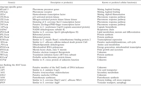 TABLE 2. Genes within and ﬂanking the mating-type alleles of C. neoformans