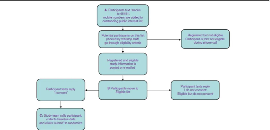 Fig. 3 A flow chart illustrating the focal point(s) of the host trial recruitment pathway targeted by embedded recruitment trial interventions