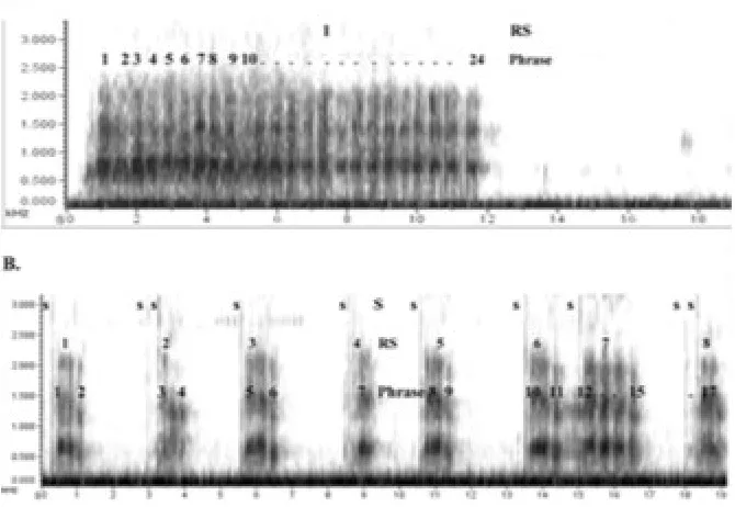 Figure 3. Spectrographic illustrations of the main structural differences characterising 