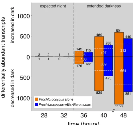 FIG 3 Dynamics of Prochlorococcus transcriptome changes during the transition from the expected darkperiod into extended darkness