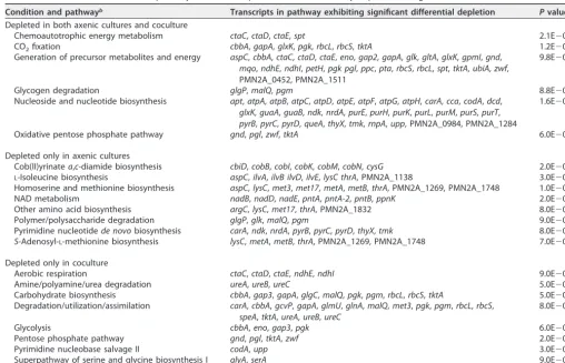 TABLE 1 Prochlorococcus metabolic pathways with transcripts that were consistently depleted during the ﬁrst 5 h of extended darknessa