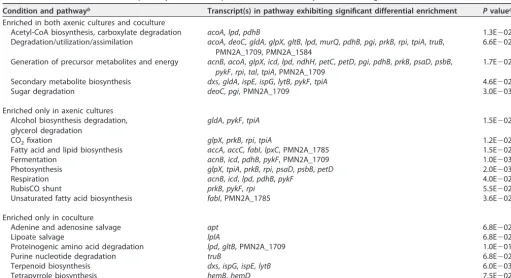 TABLE 2 Prochlorococcus metabolic pathways with transcripts that were consistently enriched during the ﬁrst 5 h of extended darknessa
