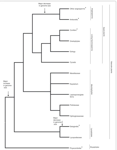 Figure 1. Simplified phylogeny of land plants, showing major clades and their component lineages