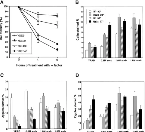 FIG. 3. Absence of FIG2methylene blue exclusion immediately following mating for 4 h on solid media under the conditions indicated