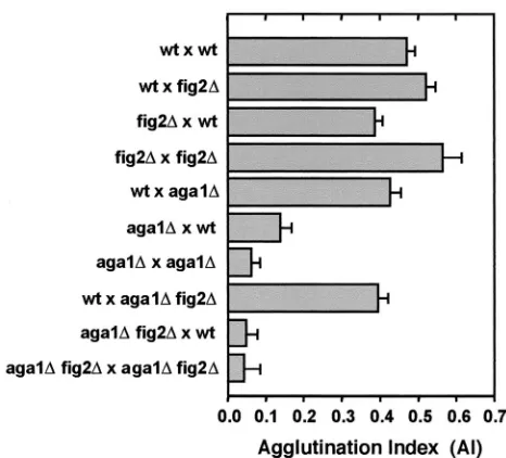 TABLE 4. Zygotic spindle alignment in WT and ﬁg2� zygotes