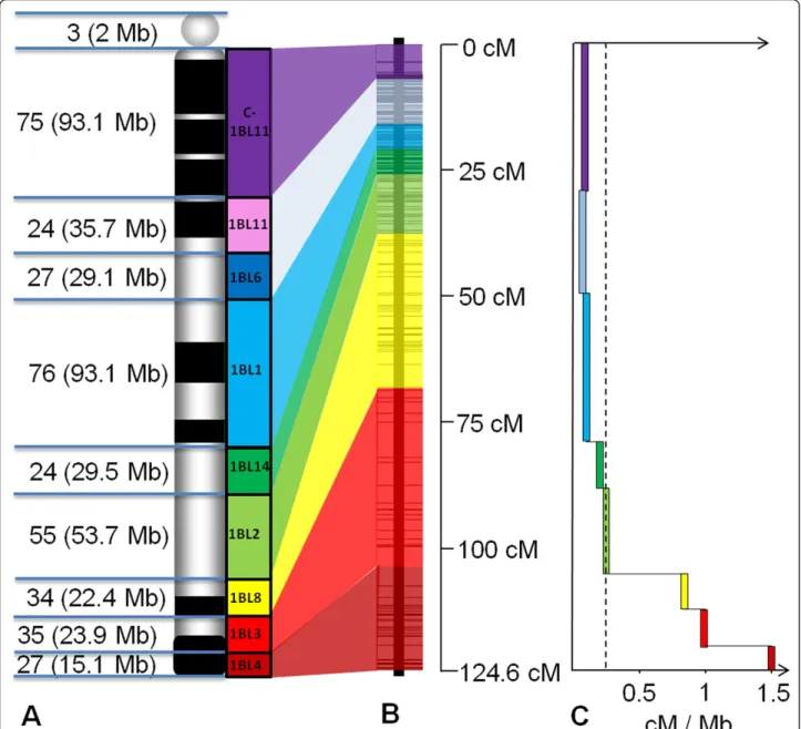 Figure 1 Representation of the integrated physical and genetic map and distribution of recombination rate along wheat chromosome 1BL