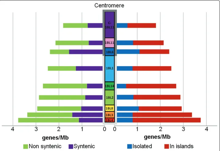 Figure 4 Gene distribution along wheat chromosome 1BL. The gene density in each of the nine deletion bins is indicated in gene/Mb on each side of the schematic representation of the chromosome
