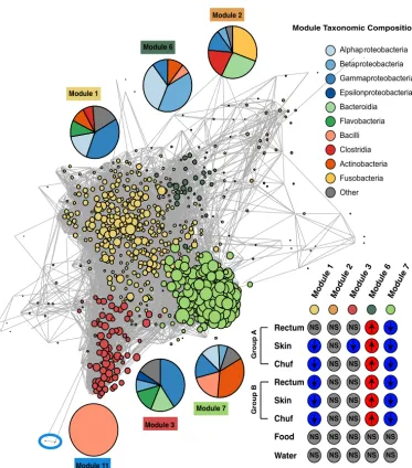 FIG 4Cooccurrence network for dolphin rectum microbiome. OTUs are the solid-colored circles (nodes), which areconnected by lines (edges) if signiﬁcantly cooccurring in the rectum samples