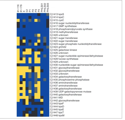 Figure 7interactionsGACK trinary analysis of the capsule biosynthetic locus of C. jejuni