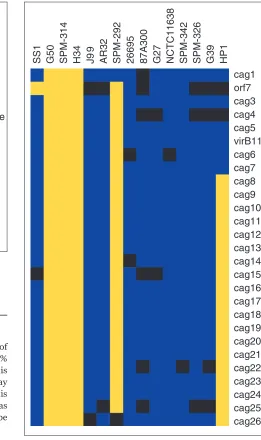 Figure 8GACK trinary analysis of the lipo-oligosaccharide biosynthetic locus ofC. jejuni