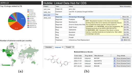 Fig. 1: Examples of possible visualisations (a) and Hubble interface (b)
