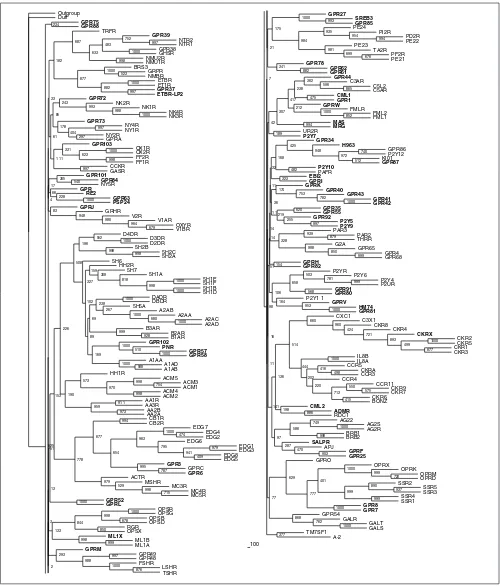 Figure 2Neighbor-joining tree of the rhodopsin receptor-like family A inferred from the multiple sequence alignment using PHYLIP 3.6